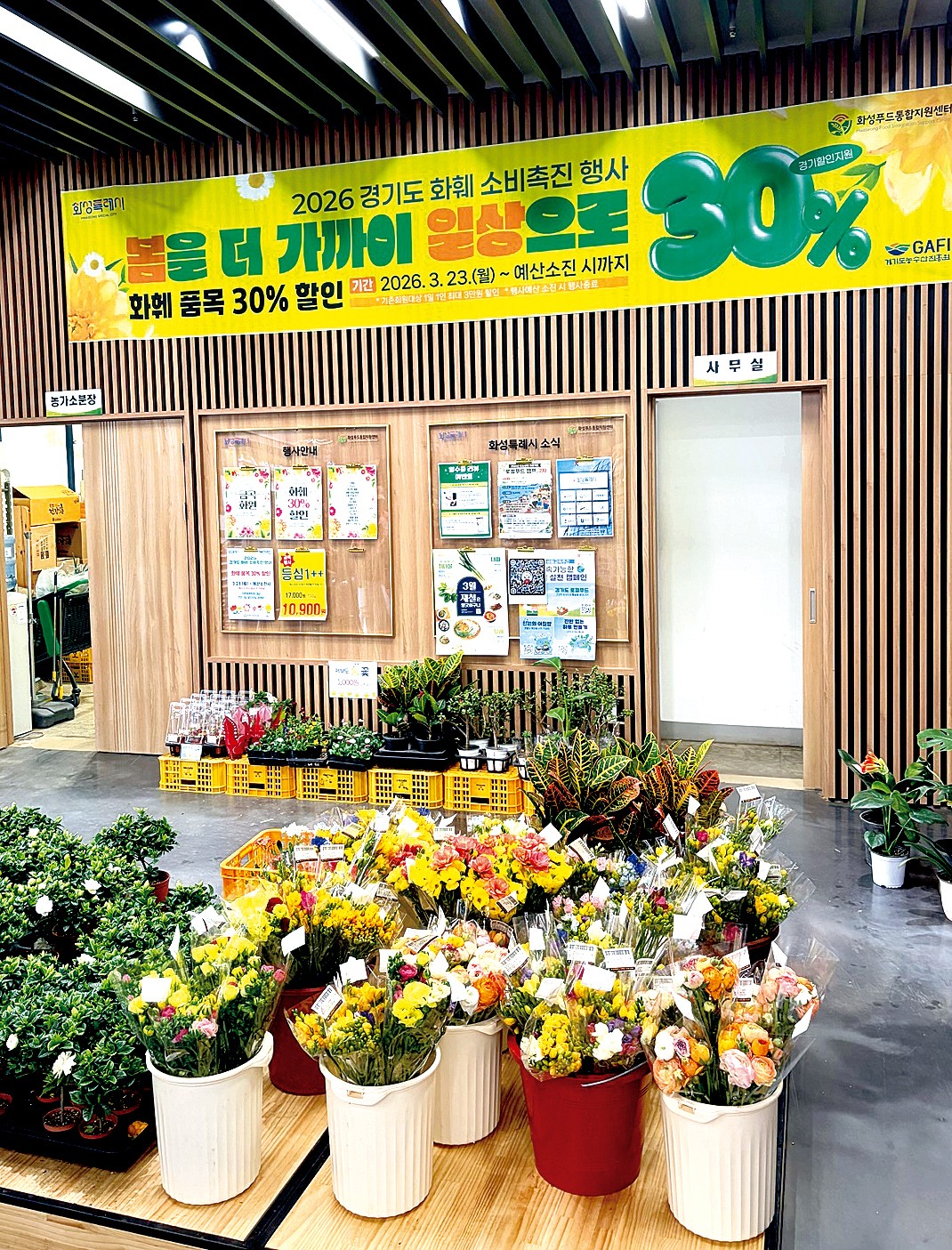 경기도 할인쿠폰 지원, 화훼 매출 22억 달성 - 뉴스 썸네일 이미지