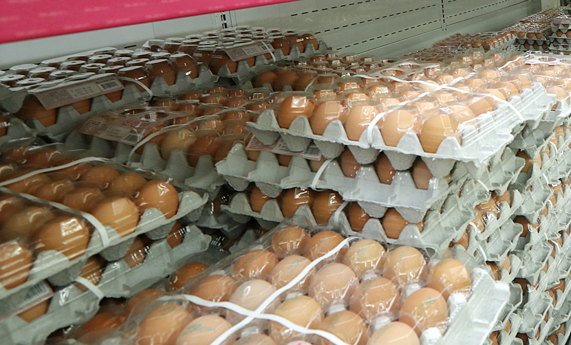 판매대에 진열된 계란.