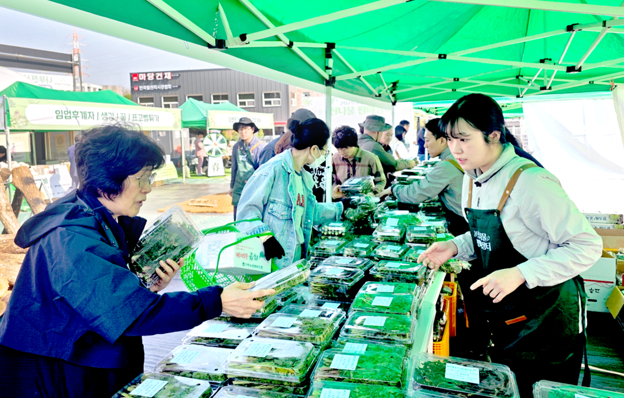 2025년 춘천시 산나물 판매장터 모습. 춘천시산림조합은 직거래 판매장터를 통해&nbsp;생산자와 소비자를 직접 연결하며 임업인들의 판로 개척에 앞장서고 있다.