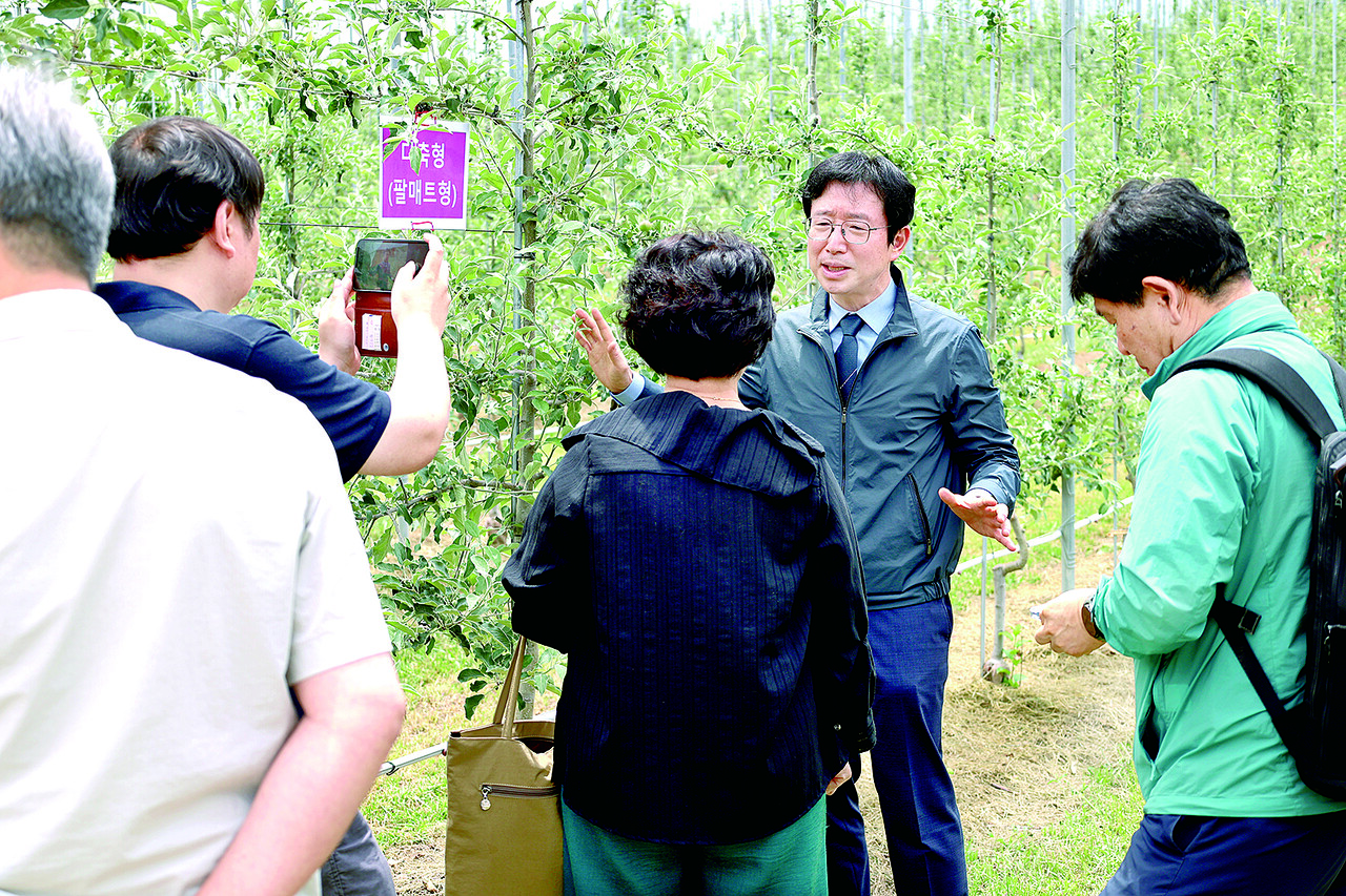 사과 ‘평면형 수형’ 재배 확대···기계화 접목 속도낸다