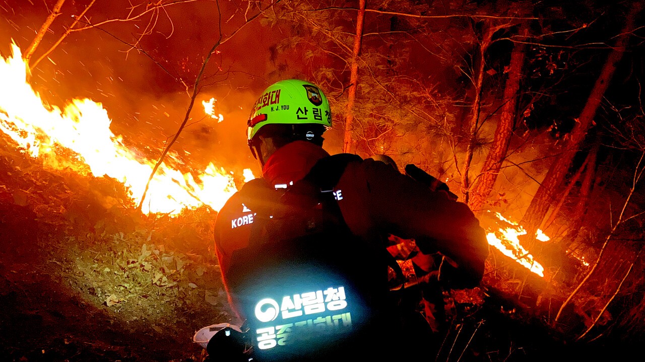 [이재명 정부 1년] '피해면적 99% 감소' 산불잡기 성공...임업인 지원체... - 뉴스 썸네일 이미지