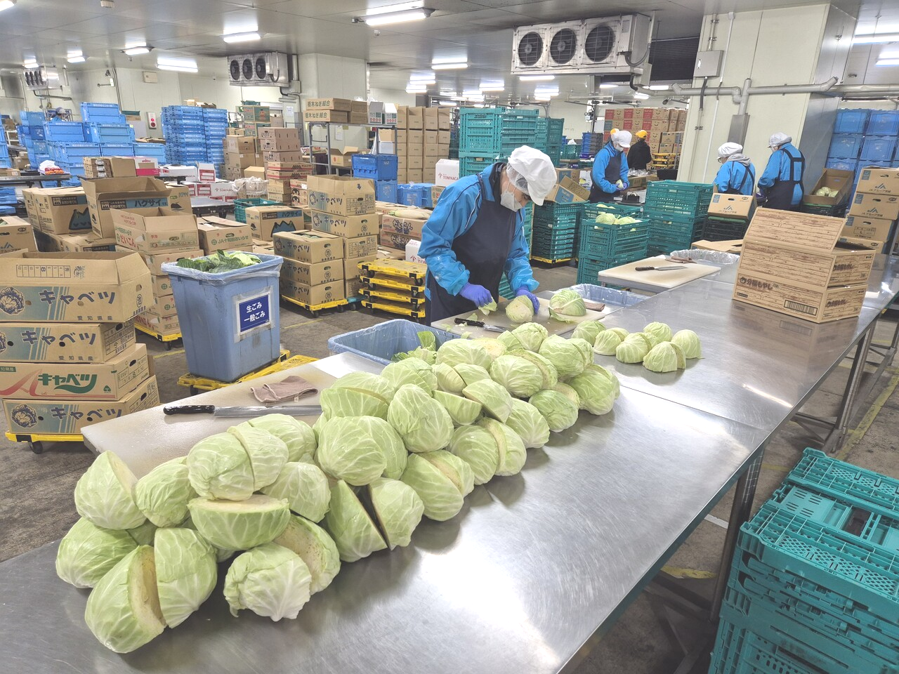 요코하마시장센터에서는 정온시설에 마련한 농산물 가공 공간에서 농산물 저장·배송뿐만 아니라 가공·소포장까지 처리하고 있다.