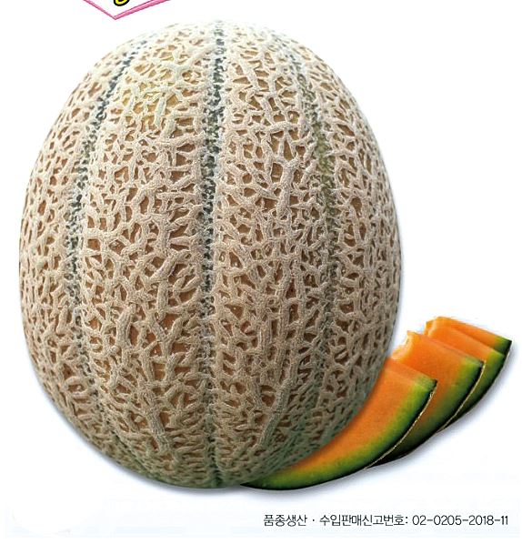 "진한 향, 달콤함 가득" 주황 멜론이 뜬다 - 뉴스 썸네일 이미지