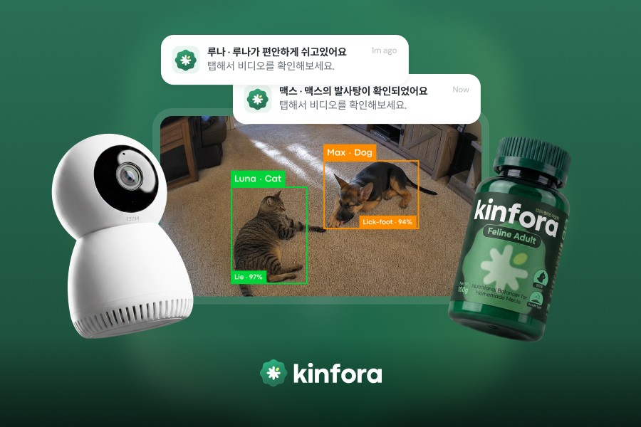 림피드, AI 반려동물 헬스케어 플랫폼 '킨포라' 출시 - 뉴스 썸네일 이미지