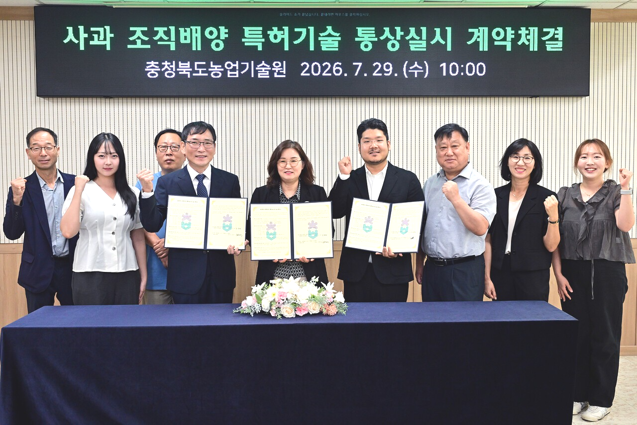 충북농기원, 사과대목 배양 특허기술 이전 - 뉴스 썸네일 이미지