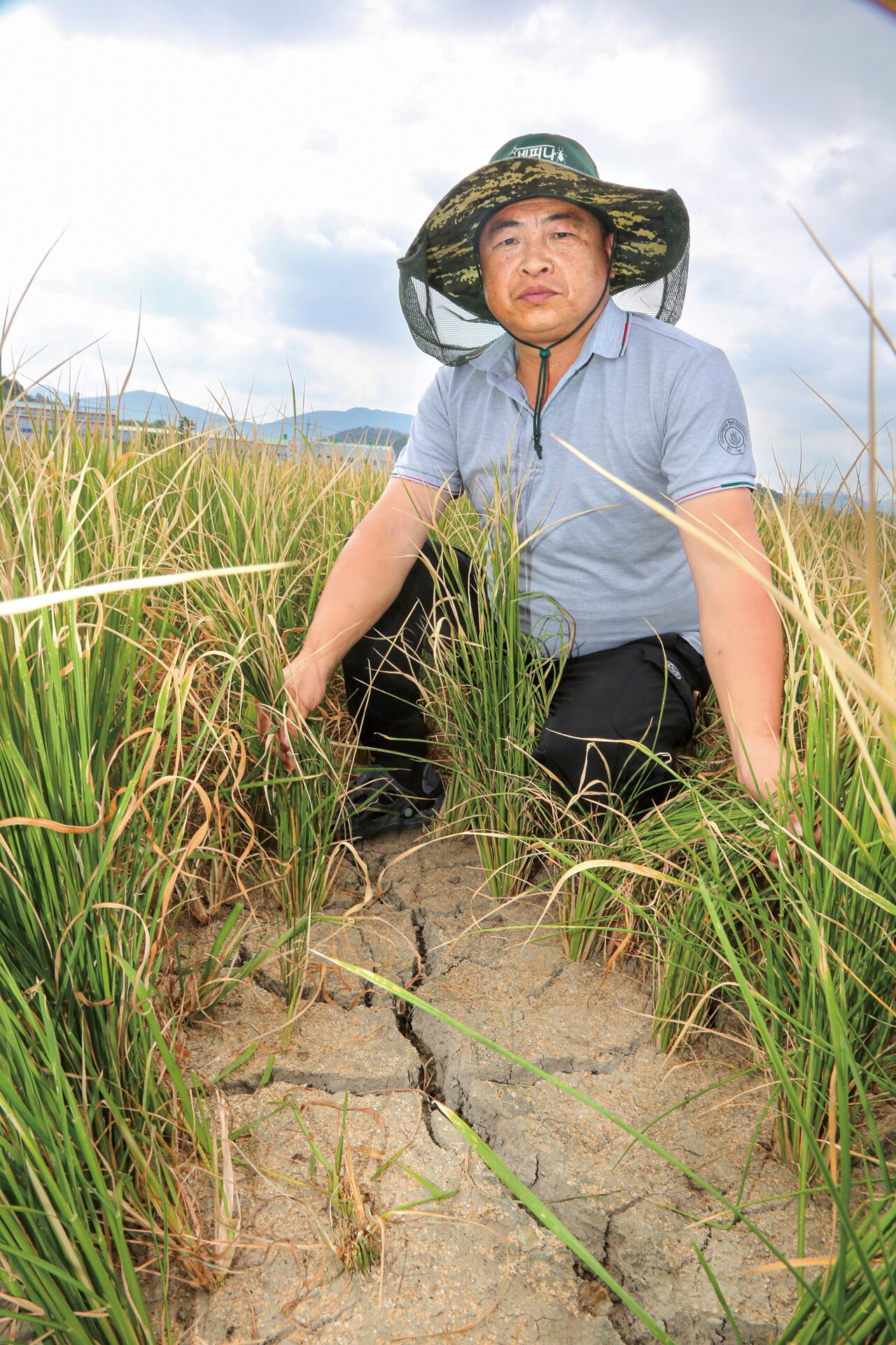 강헌수 한농연창녕군연합회 회장이 극한 가뭄과 폭염 장기화로 논 바닥이 거북이 등처럼 쩍쩍 갈라지고 벼가 말라 죽어가는 피해를 전하며 깊은 한숨을 내쉬고 있다.