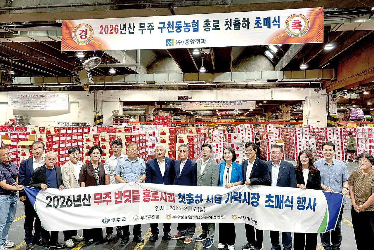 지난 17일, 무주군 관계자와 사과 농가 등이 참석한 가운데 가락시장 중앙청과 경매장에서 본격적인 무주 홍로 사과 출하를 알리는 초매식과 첫 경매를 진행했다.
