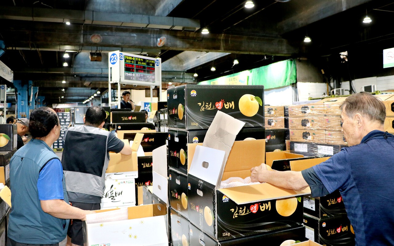 추석을 겨냥한 배 초도물량은 지난해보다 높은 시세를 기록하며 기분 좋게 시작했다. 유통인들은 전반적인 물량은 지난해와 비슷하겠지만 특품 비중은 20% 내외로 지난해보다 줄 것으로 내다봤다.